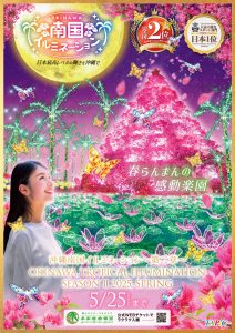 沖縄南国イルミネーション第二章
