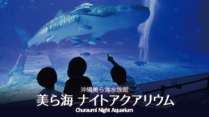 美ら海ナイトアクアリウム