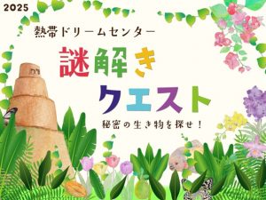 謎解きクエスト